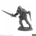 Dungeon Dwellers: Naus, Waghalter Human Rogue 