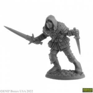 Dungeon Dwellers: Naus, Waghalter Human Rogue