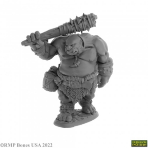 Dungeon Dwellers: Ogre Guard