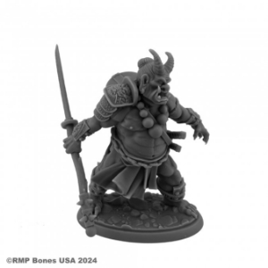 Dungeon Dwellers: Ogre Magi