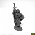 Dungeon Dwellers: Sir Danarel the Holy 