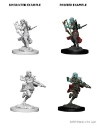 Dungeons & Dragons Nolzur’s Marvelous Miniatures: Air Genasi Rogue (Female) 