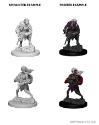 Dungeons & Dragons Nolzur’s Marvelous Miniatures: Drow 