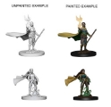 Dungeons & Dragons Nolzur’s Marvelous Miniatures: Elf Druid (Female) 