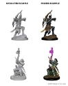 Dungeons & Dragons Nolzur’s Marvelous Miniatures: Elf Bard (Male) 