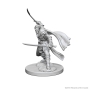 Dungeons &amp; Dragons Nolzur’s Marvelous Miniatures: Elf Ranger (Male) - 72637 [634482726372]