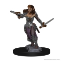 Dungeons & Dragons Nolzur’s Marvelous Miniatures: Elf Ranger (Female) 