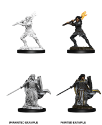 Dungeons & Dragons Nolzur’s Marvelous Miniatures: Female Human Paladin 