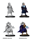 Dungeons & Dragons Nolzur’s Marvelous Miniatures: Female Human Sorcerer  