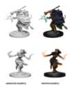 Dungeons & Dragons Nolzur’s Marvelous Miniatures: Tiefling Warlock (Female) 