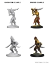 Dungeons & Dragons Nolzur’s Marvelous Miniatures: Githyanki 