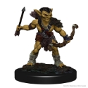 Dungeons & Dragons Nolzur’s Marvelous Miniatures: Goblins 