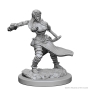 Dungeons &amp; Dragons Nolzur’s Marvelous Miniatures: Human Monk (Female) - 72634 [634482726341]