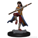 Dungeons & Dragons Nolzur’s Marvelous Miniatures: Human Monk (Female) 