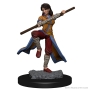 Dungeons &amp; Dragons Nolzur’s Marvelous Miniatures: Human Monk (Female) - 72634 [634482726341]