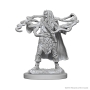 Dungeons &amp; Dragons Nolzur’s Marvelous Miniatures: Human Sorcerer (Male) - 72628 [634482726280]
