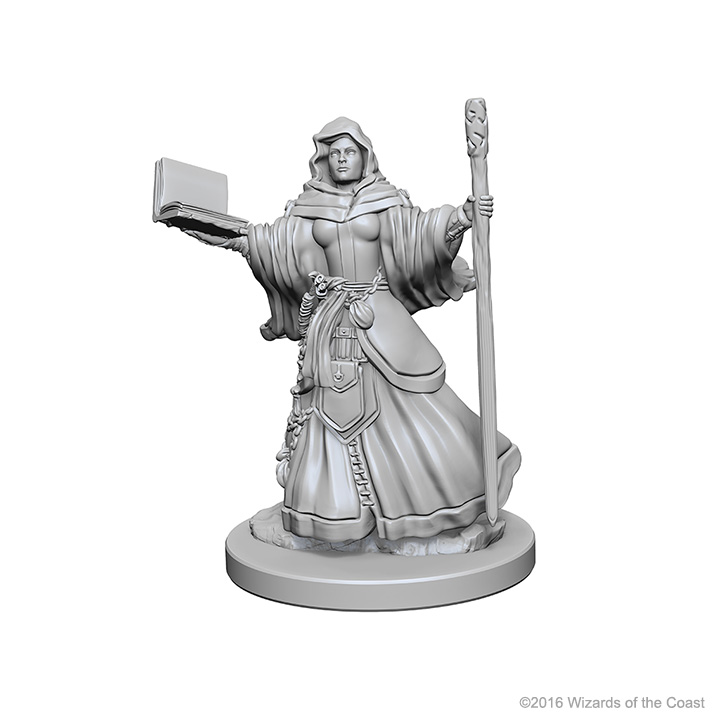 D&D Nolzur's Marvelous Miniatures: Human Monk Female main image 1