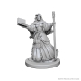 Dungeons &amp; Dragons Nolzur’s Marvelous Miniatures: Human Wizard (Female) - 72619 [634482726198]