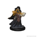 Dungeons & Dragons Nolzur’s Marvelous Miniatures: Human Wizard (Female) 