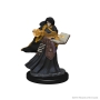 Dungeons &amp; Dragons Nolzur’s Marvelous Miniatures: Human Wizard (Female) - 72619 [634482726198]