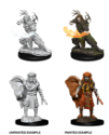 Dungeons & Dragons Nolzur’s Marvelous Miniatures: Human Druid (Male) 