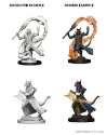 Dungeons & Dragons Nolzur’s Marvelous Miniatures: Tiefling Sorcerer (Male) 