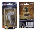 Dungeons & Dragons Nolzur’s Marvelous Miniatures: Troll 