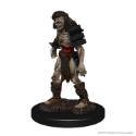 Dungeons & Dragons Nolzur’s Marvelous Miniatures: Zombies 