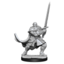 Dungeons & Dragons Nolzur’s Marvelous Miniatures: HALF-ORC PALADIN MALE 