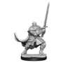 Dungeons &amp; Dragons Nolzur’s Marvelous Miniatures: HALF-ORC PALADIN MALE - 90307 [634482903070]