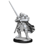 Dungeons &amp; Dragons Nolzur’s Marvelous Miniatures: HALF-ORC PALADIN MALE - 90307 [634482903070]