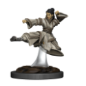 Dungeons & Dragons Premium Figures: HUMAN MONK FEMALE 