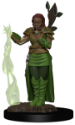 Dungeons & Dragons Premium Figures: Human Female Druid 