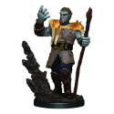 Dungeons & Dragons Premium Figures: MALE FIRBOLG DRUID 