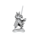 Dungeons & Dragons: Frameworks: Dragonborn Paladin Male 