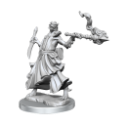 Dungeons & Dragons: Frameworks: Dragonborn Sorcerer Female 