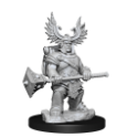 Dungeons & Dragons: Frameworks: Dwarf Barbarian Female 