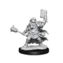 Dungeons &amp; Dragons: Frameworks: Dwarf Cleric Female - 75010 [634482750100]