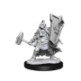 Dungeons &amp; Dragons: Frameworks: Dwarf Cleric Female - 75010 [634482750100]