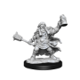 Dungeons &amp; Dragons: Frameworks: Dwarf Cleric Female - 75010 [634482750100]