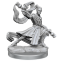 Dungeons & Dragons: Frameworks: Elf Monk Male 