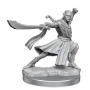 Dungeons &amp; Dragons: Frameworks: Elf Monk Male - 75027 [634482750278]