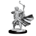 Dungeons & Dragons: Frameworks: Elf Ranger Male 