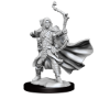 Dungeons &amp; Dragons: Frameworks: Elf Ranger Male - 75009 [634482750094]