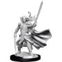 Dungeons &amp; Dragons: Frameworks: Elf Ranger Male - 75009 [634482750094]