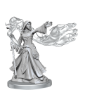 Dungeons &amp; Dragons: Frameworks: Elf Wizard Female - 75023 [634482750230]