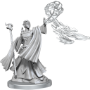Dungeons &amp; Dragons: Frameworks: Elf Wizard Female - 75023 [634482750230]