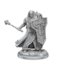 Dungeons & Dragons: Frameworks: Human Cleric Male 