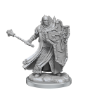 Dungeons &amp; Dragons: Frameworks: Human Cleric Male - 75071 [634482750711]