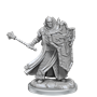 Dungeons &amp; Dragons: Frameworks: Human Cleric Male - 75071 [634482750711]